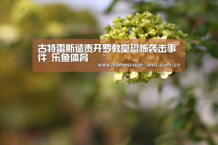 古特雷斯谴责开罗教堂恐怖袭击事件_乐鱼体育